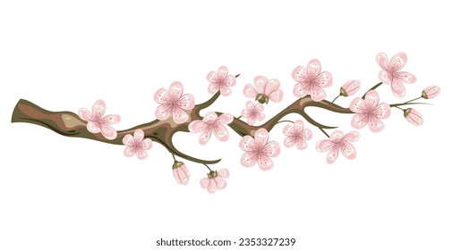 Sakura cherry branch tree blossom flower isolated set. Vector flat graphic design illustration