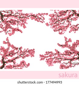 sakura cherry branches interesting and good looking