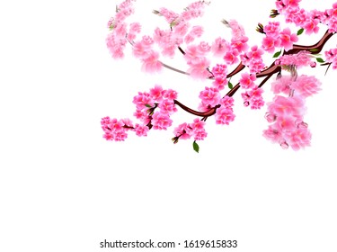 Sakura. Cherry branches with purple flowers flutter in the wind. Focused and not. Vector illustration