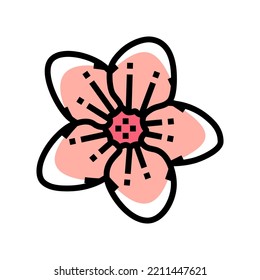 sakura cherry flower spring color icon vector. sakura cherry flower spring sign. isolated symbol illustration