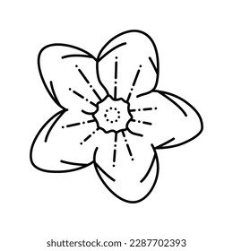 sakura cherry flower spring line icon vector. sakura cherry flower spring sign. isolated contour symbol black illustration