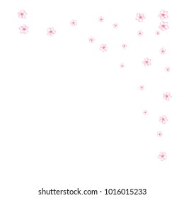 Sakura Cherry, Peach or Apple Flowers Vector Confetti. Elegant Falling Down Spring Romantic Floral Decoration. Tender Wedding Decoration, Realistic Cherry, Peach, Sakura or Apple Blossom Confetti.