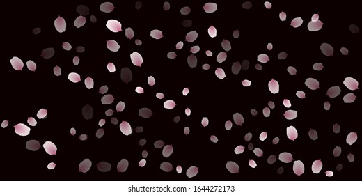 sakura cherry petals, pink apricot flowers falling. vector background