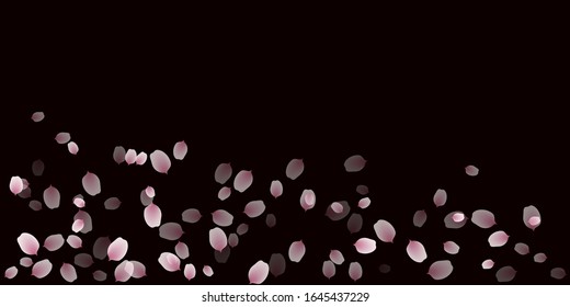 sakura cherry petals, pink apricot flowers falling. vector background