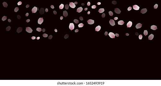 sakura cherry petals, pink apricot flowers falling. vector background