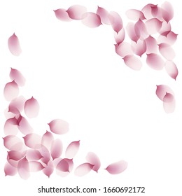sakura cherry petals, pink apricot flowers falling. watercolor effect pink rose petals vector background, romantic, love, girly, woman, gentle backdrop
