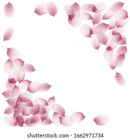 sakura cherry petals, pink apricot flowers falling. watercolor effect pink rose petals vector background, romantic, love, girly, woman, gentle backdrop