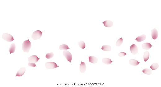 sakura cherry petals, pink apricot flowers falling. watercolor effect pink petals vector background