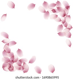 sakura cherry petals, pink apricot flowers falling. watercolor effect pink rose petals vector background, romantic, love, girly, woman, gentle backdrop