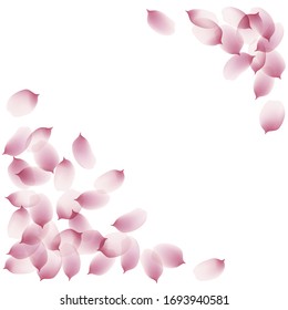 sakura cherry petals, pink apricot flowers falling. watercolor effect pink rose petals vector background, romantic, love, girly, woman, gentle backdrop