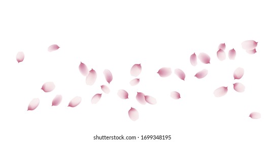 sakura cherry petals, pink apricot flowers falling. watercolor effect pink petals vector background