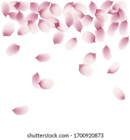 sakura cherry petals, pink apricot flowers falling. watercolor effect pink rose petals vector background, romantic, love, girly, woman, gentle backdrop