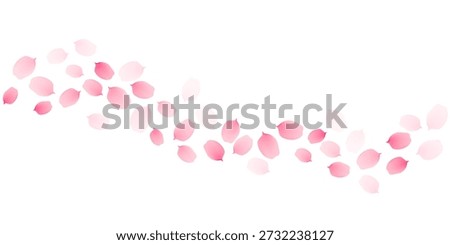 Sakura cherry petals, pink apricot flowers falling wavy border. Vector background