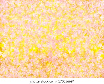 Sakura cherry tree background