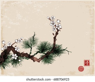 Sakura cherry tree in blossom and green pine tree branch on vintage background. Traditional oriental ink painting sumi-e, u-sin, go-hua. Hieroglyph - clarity, great bleesing