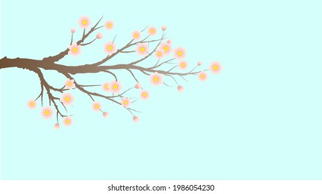Sakura or Cherry Tree Branch with Blossoms