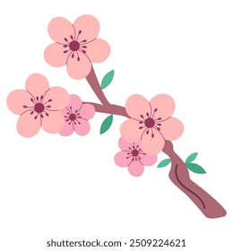 Sakura chinese new year festival flat style isolated
