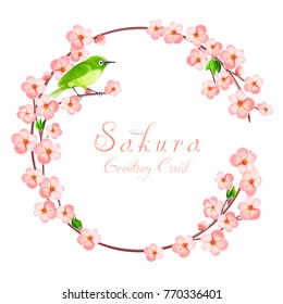 Sakura circle frame with Japanese white eye bird sitting on cherry branch.