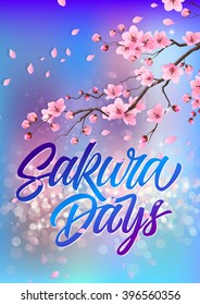 Sakura Days Inscription 4