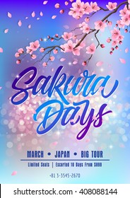 Sakura days poster template isolated on background with blooming sakura