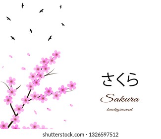 Sakura design with floral cherry tree branch and birds. White isolated background. Vector eps 10.