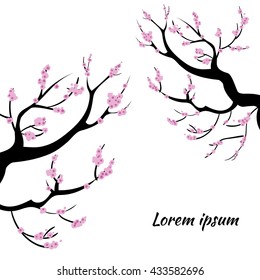 Sakura design. Sakura tree in blossom. Sakura flowering branches. Vector illustration isolated on white.