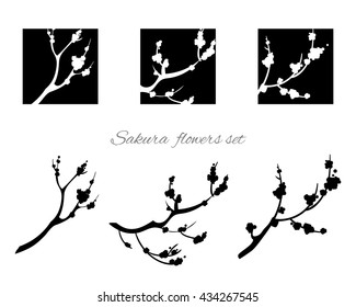 Sakura design. Sakura tree in blossom. Set of sakura flowering branches. Vector illustration isolated on white.