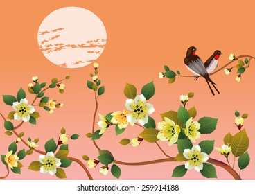 sakura .Evening in the garden blooming cherry and birds