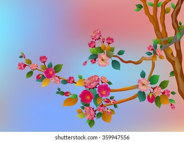 sakura .Evening in the garden blooming cherry
