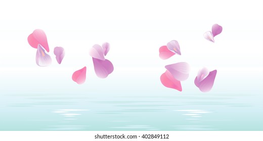 Sakura falling petals in water. Vector