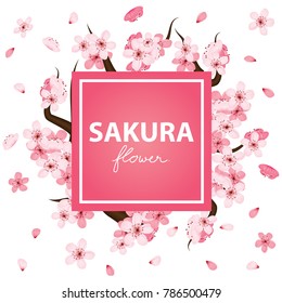 Sakura flower banner vector illustration