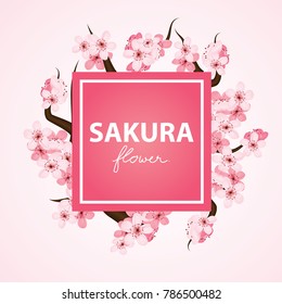 Sakura flower banner vector illustration