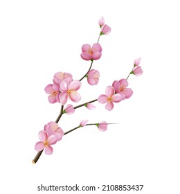 sakura flower branch blossom pink tree. marriage decoration. pink leaf. 3d realistic vector illustration