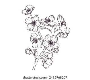 Rama de flor de Sakura dibujado a mano boceto floral negro. Ramitas japonesas de flor de cerezo línea de arte. Pétalo botánico de primavera, hojas. Florecer Ilustración vectorial de planta asiática en estilo de contorno