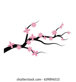 sakura flower branch spring japanese flora