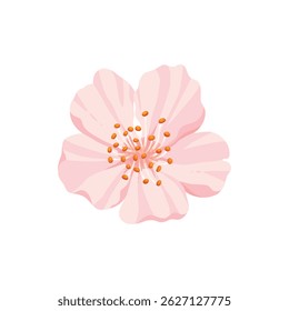 Sakura flor e broto. Flor de primavera de cereja, flores e folhas florescentes, japão florescendo elementos de cereja ícone de ilustração vetor plano. Bela sakura florescente