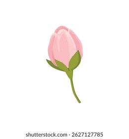 Sakura bloem en knop. Kersenlente bloesem, bloeiende bloemen en bladeren, Japanse bloeiende kersenelementen platte vector illustratie pictogram. Mooie bloeiende sakura