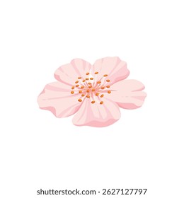 Sakura flor e broto. Flor de primavera de cereja, flores e folhas florescentes, japão florescendo elementos de cereja ícone de ilustração vetor plano. Bela sakura florescente