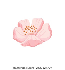 Sakura flor e broto. Flor de primavera de cereja, flores e folhas florescentes, japão florescendo elementos de cereja ícone de ilustração vetor plano. Bela sakura florescente