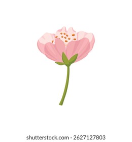 Sakura flower and bud. Cherry spring blossom, blooming flowers and leaves, japanese blooming cherry elements flat vector illustration icon. Beautiful blooming sakura