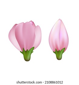 florecimiento de bodas rosadas de cerezo en flor sakura. hoja rosa. icono asiático. 3.ª ilustración vectorial realista