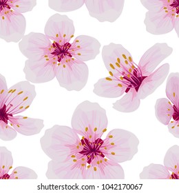 Sakura flower, cherry. Seamless pattern on white background.Vector illustration.