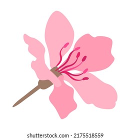 Sakura flower. Colorful spa cartoon vector illustration. Female character enjoying skincare, aroma therapy, facial and body massage and tools