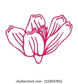 Sakura flower doodle icon. Back line isolated on white. One line contour floral drawing.Vector illustration