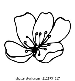 Sakura flower doodle icon. Back line isolated on white. One line contour floral drawing.Vector illustration