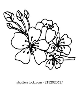 Sakura flower doodle icon. Back line isolated on white. One line contour floral drawing.Vector illustration