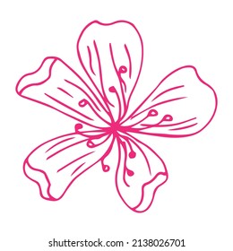 Sakura flower doodle icon. Back line isolated on white. One line contour floral drawing.Vector illustration