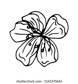 Icono del doodle de flor de Sakura. Línea trasera aislada en blanco. Dibujo floral de contorno de una línea.Ilustración vectorial