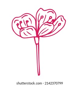 Sakura flower doodle icon. Back line isolated on white. One line contour floral drawing.Vector illustration