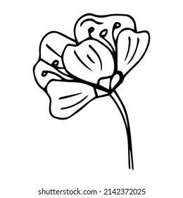 Icono del doodle de flor de Sakura. Línea trasera aislada en blanco. Dibujo floral de contorno de una línea.Ilustración vectorial